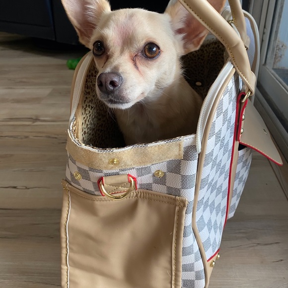 Meet your Posher, Amelia - Picture 4 of 6